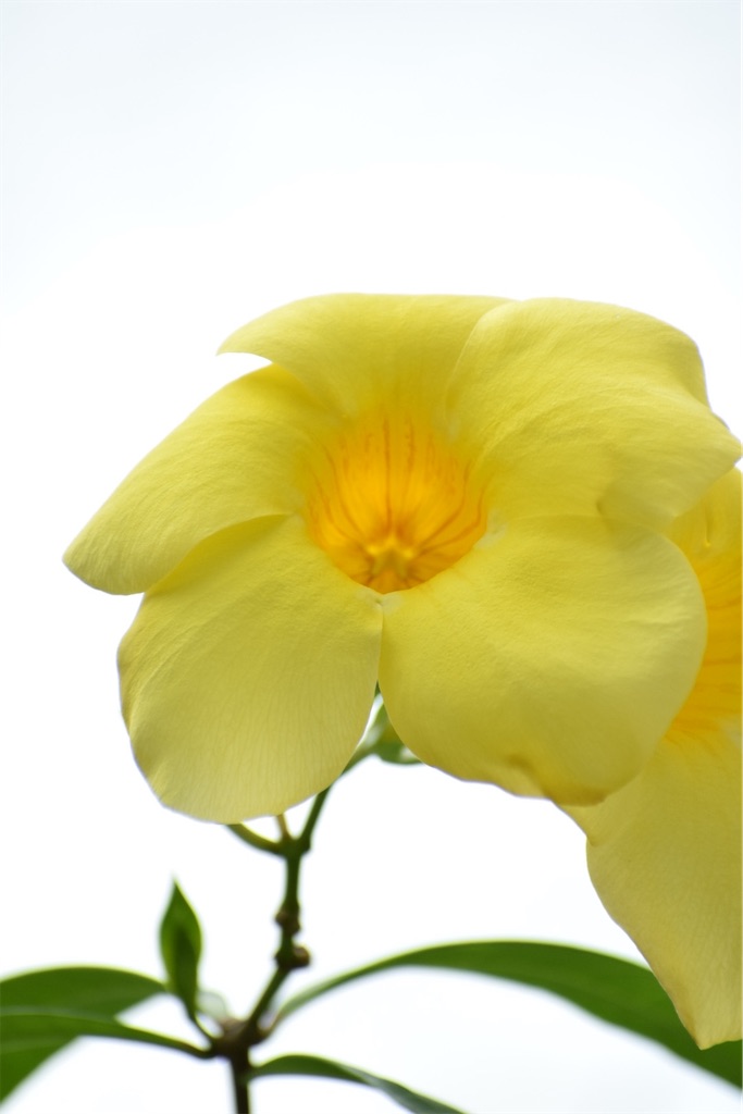 f:id:naoyafs1:20200812153048j:image