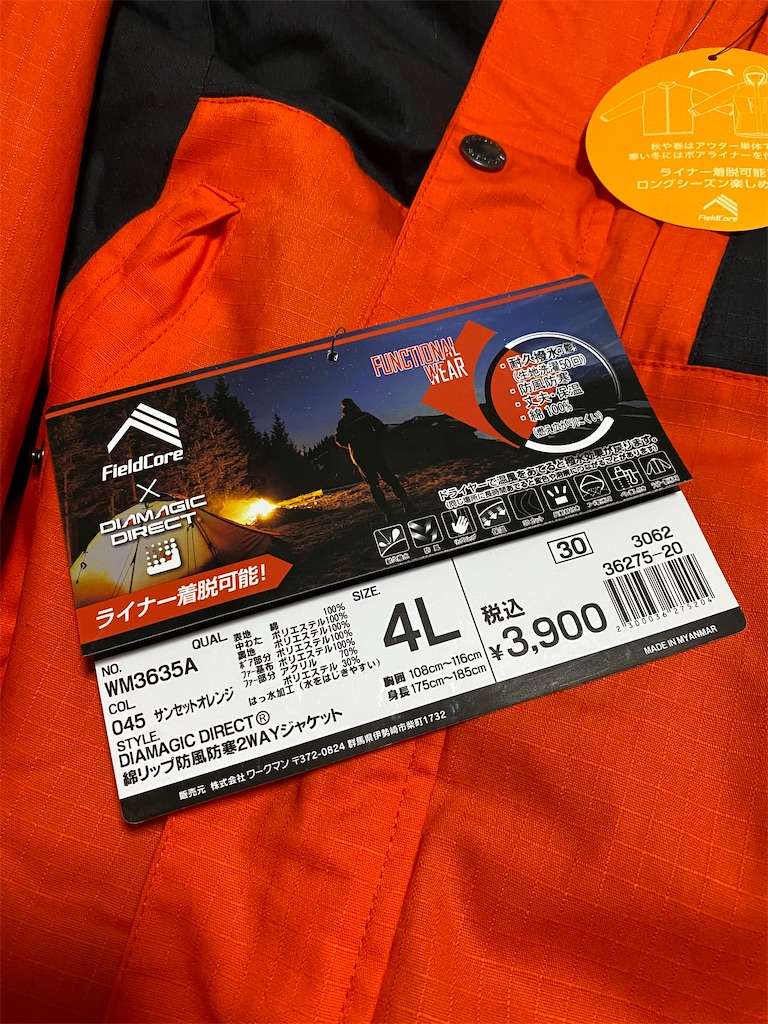 f:id:naoyafs1:20201012104627j:image