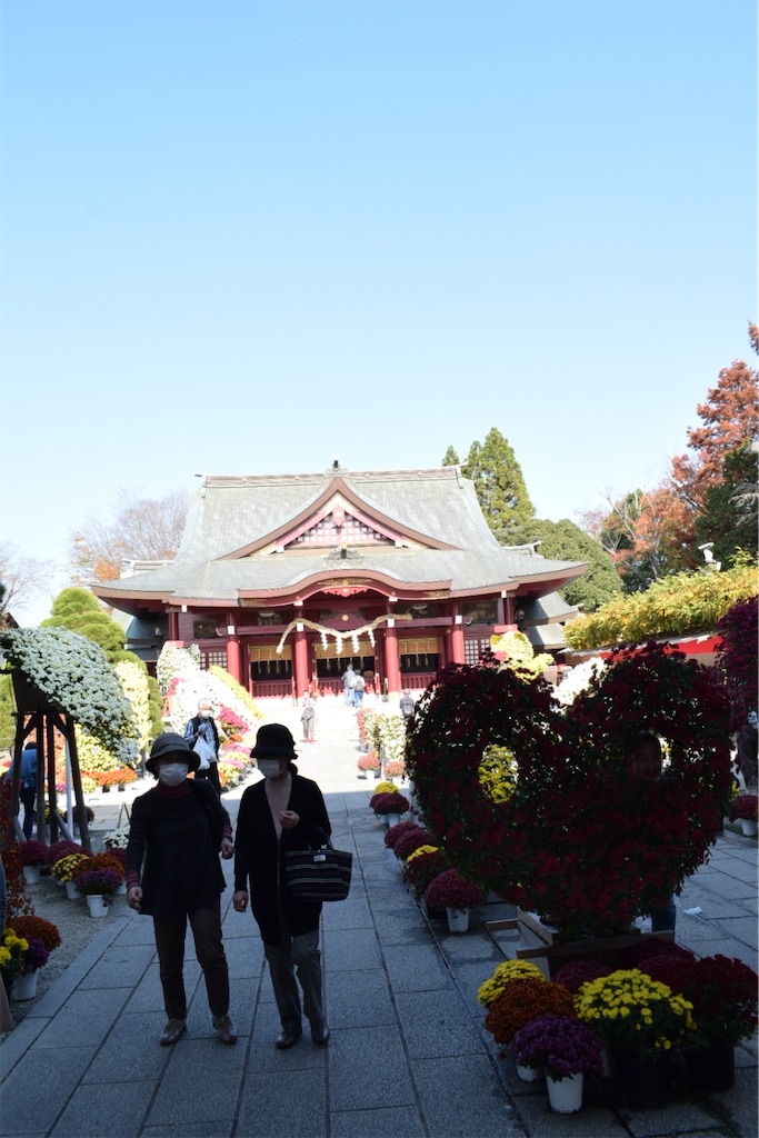f:id:naoyafs1:20201117191342j:image f:id:naoyafs1:20201117191342j:image