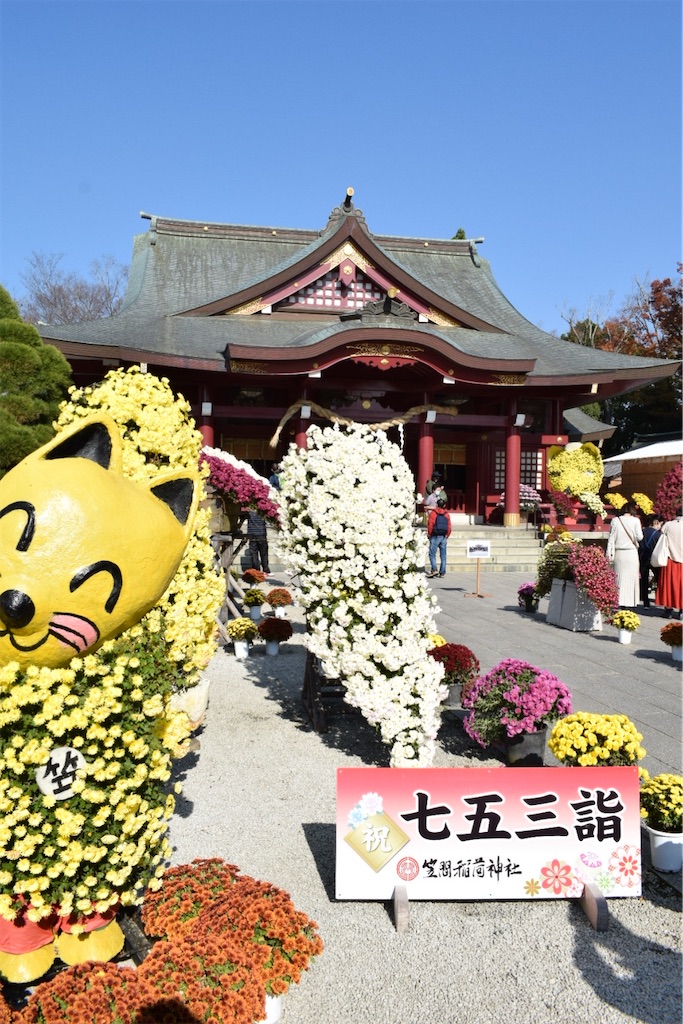 f:id:naoyafs1:20201117191347j:image f:id:naoyafs1:20201117191347j:image