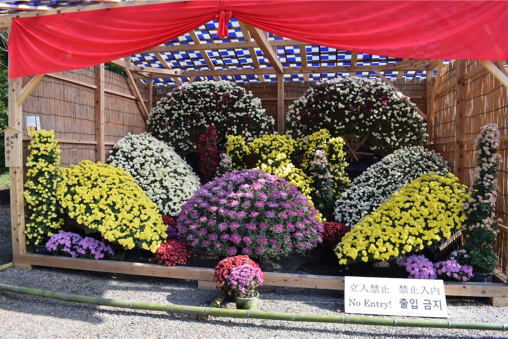 f:id:naoyafs1:20201117191354j:image f:id:naoyafs1:20201117191354j:image