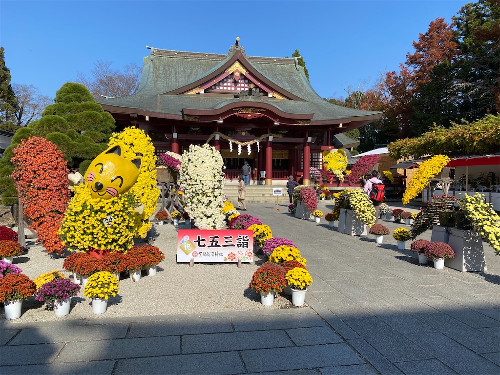 f:id:naoyafs1:20201117191412j:image f:id:naoyafs1:20201117191412j:image