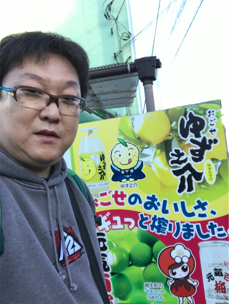 越生ベニ梅 10kg 農薬不使用『kito』 越生ベニ梅 10kg 農薬不使用『kito様専用』 - メルカリ