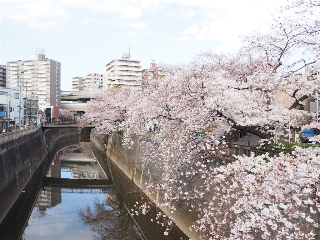 f:id:naoyafs1:20210306222345j:image f:id:naoyafs1:20210306222345j:image
