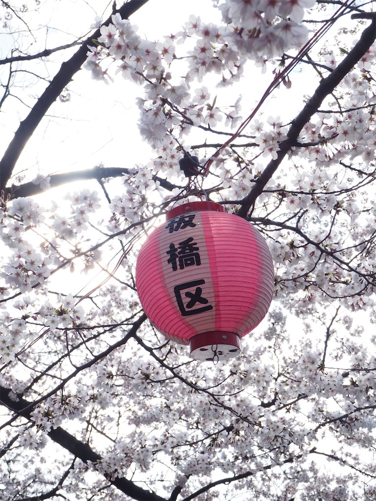 f:id:naoyafs1:20210306222349j:image f:id:naoyafs1:20210306222349j:image