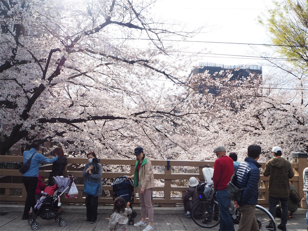 f:id:naoyafs1:20210306222355j:image f:id:naoyafs1:20210306222355j:image