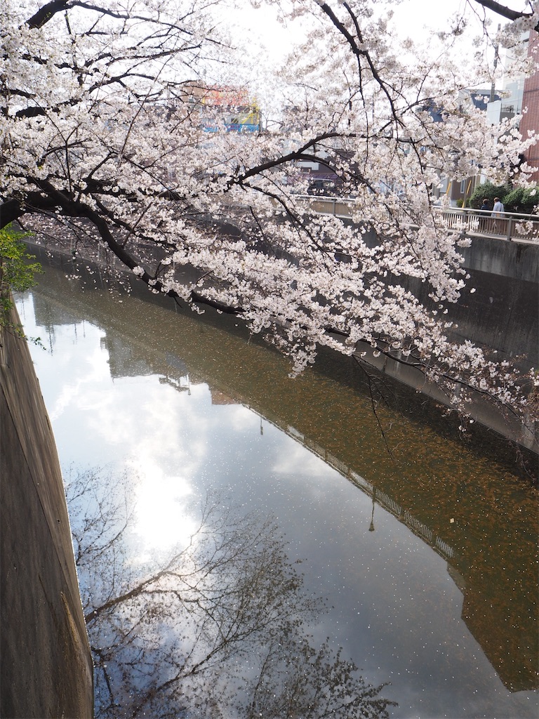f:id:naoyafs1:20210306222358j:image f:id:naoyafs1:20210306222358j:image