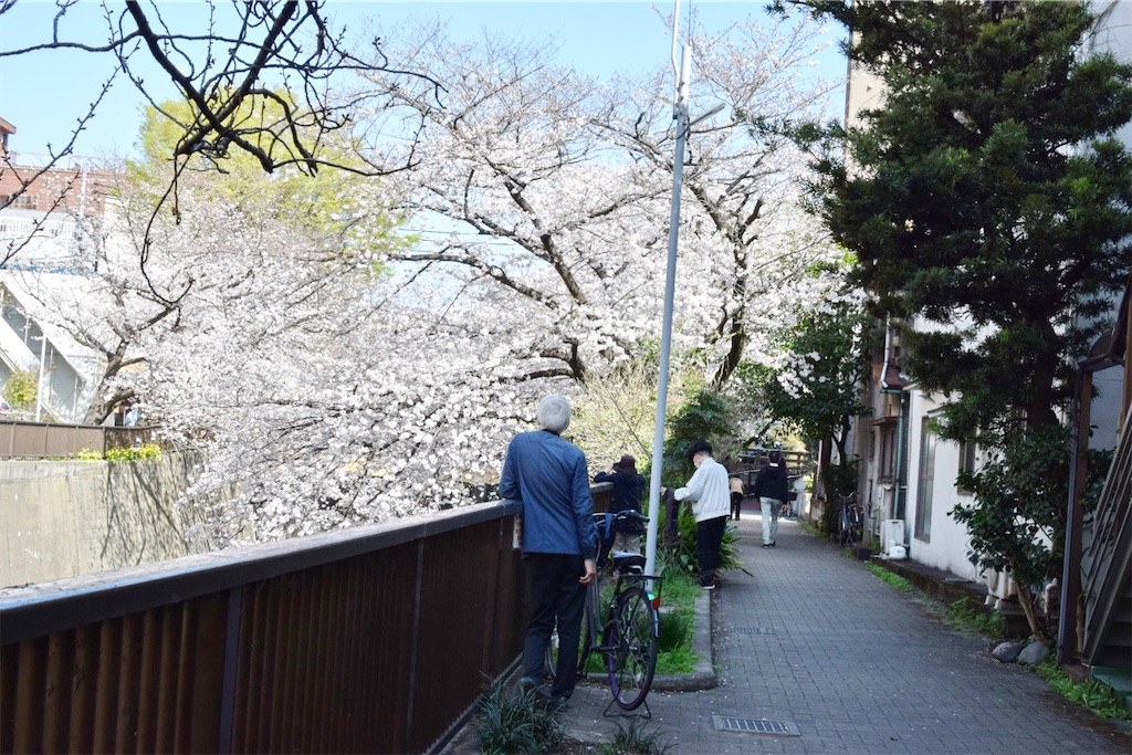 f:id:naoyafs1:20210324162157j:image
