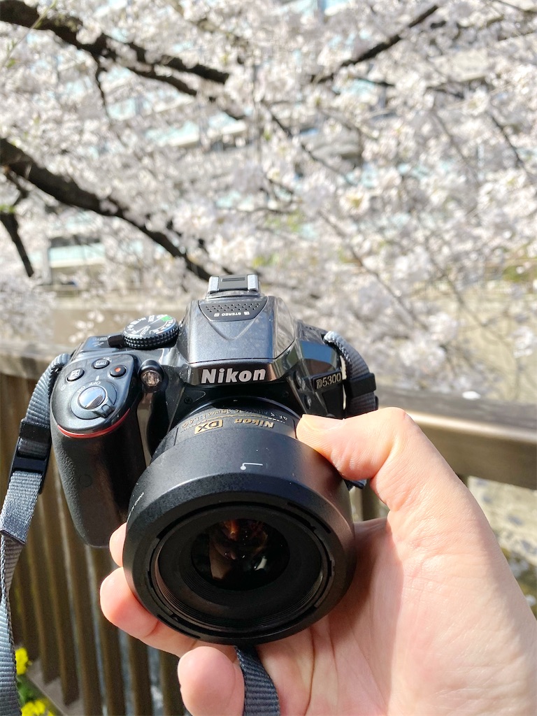 f:id:naoyafs1:20210324162202j:image