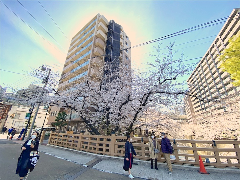f:id:naoyafs1:20210324162216j:image