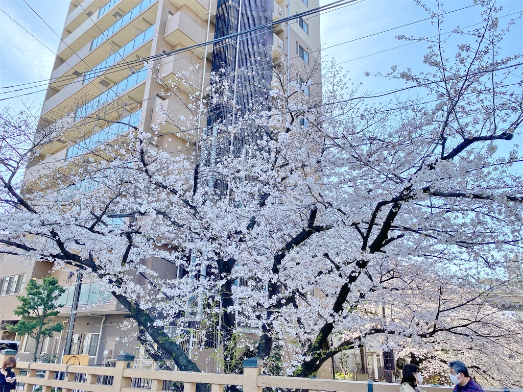 f:id:naoyafs1:20210324162224j:image