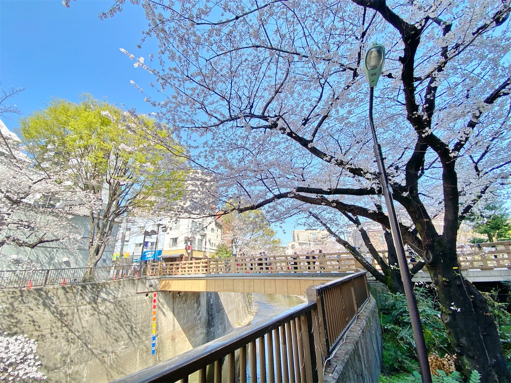 f:id:naoyafs1:20210324162229j:image