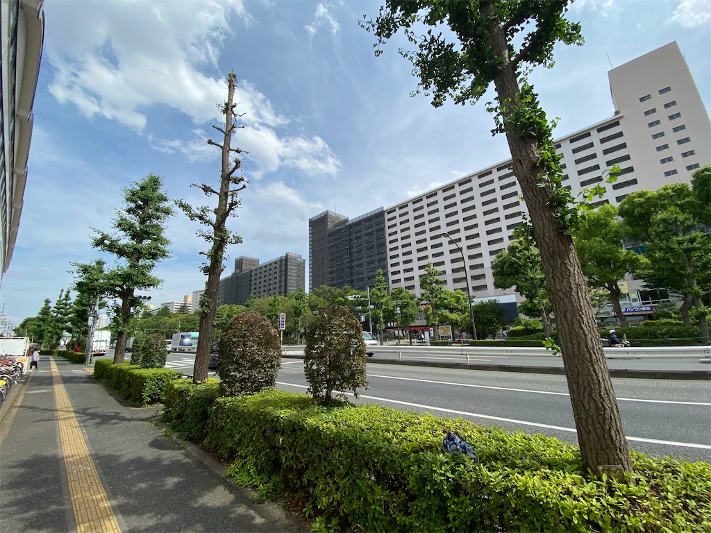 f:id:naoyafs1:20210526171721j:image