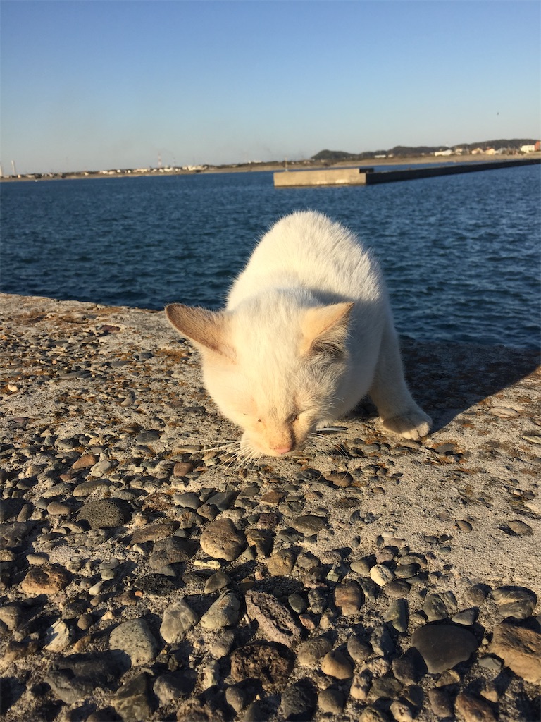 f:id:naoyafs1:20210907224059j:image