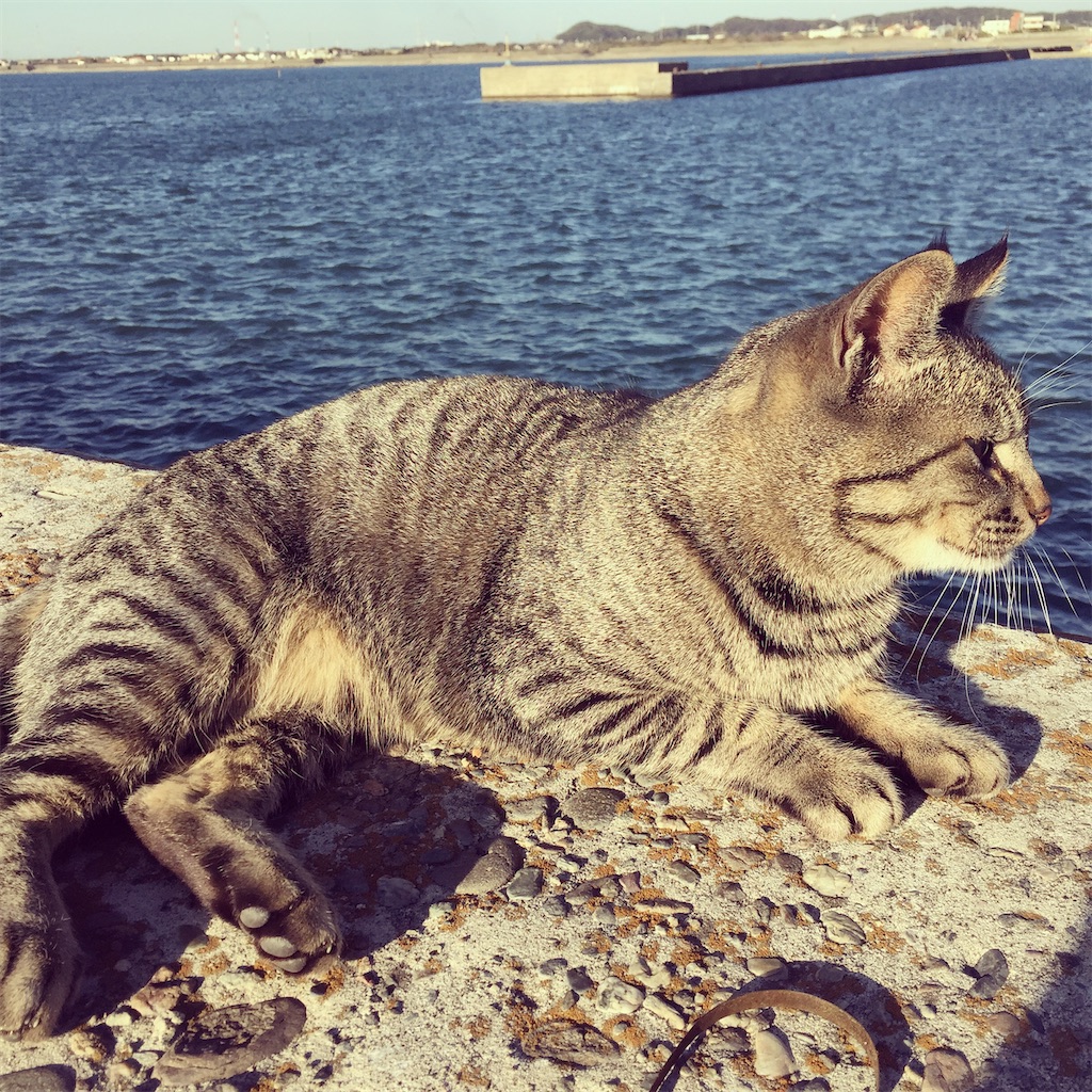 f:id:naoyafs1:20210907224101j:image