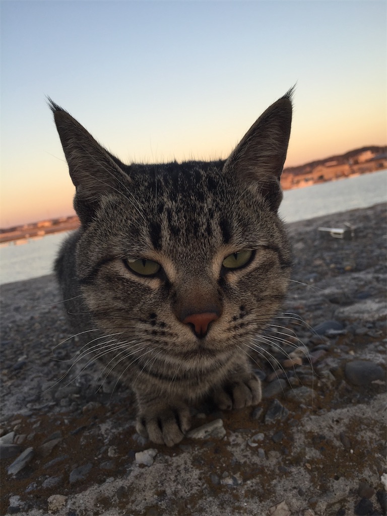 f:id:naoyafs1:20210907224104j:image