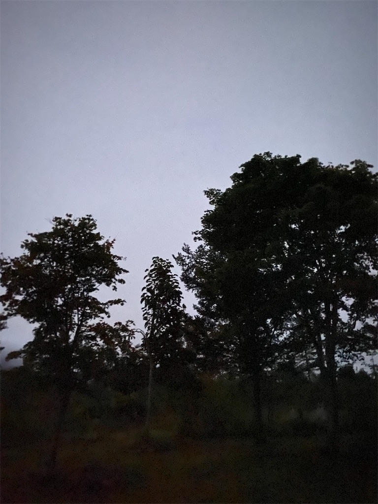f:id:naoyafs1:20210930073016j:image