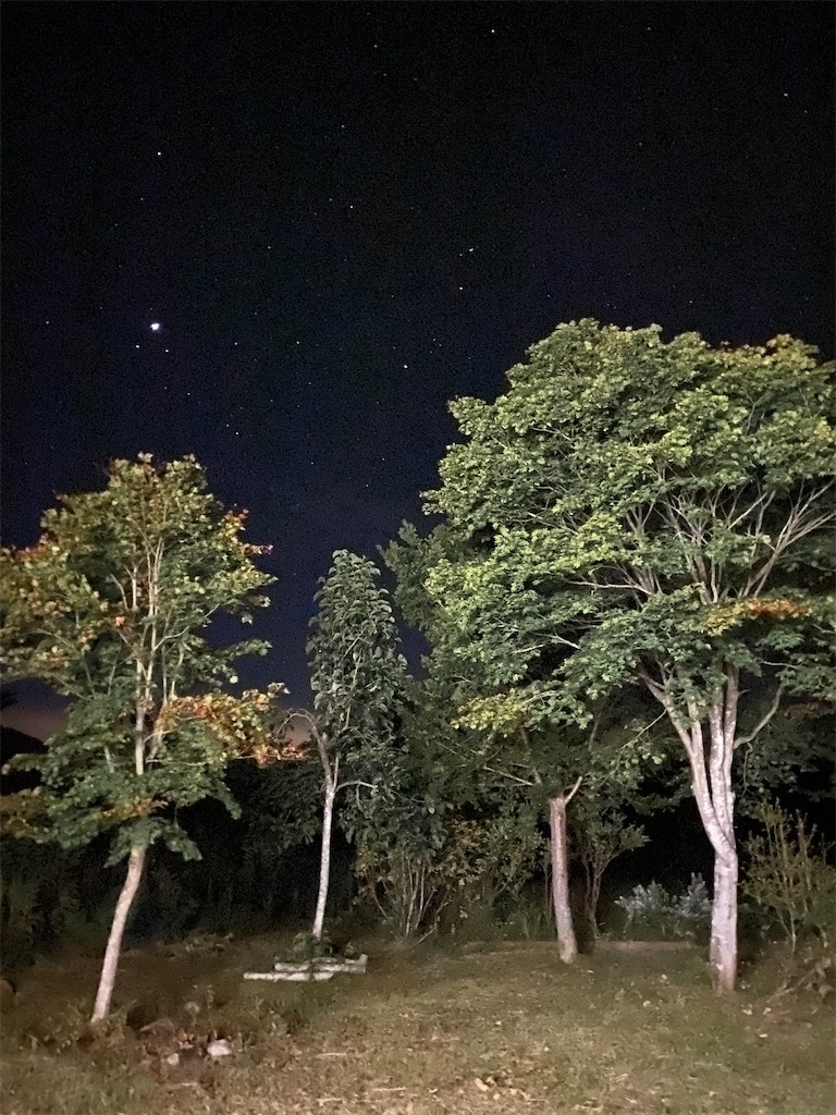 f:id:naoyafs1:20210930073029j:image