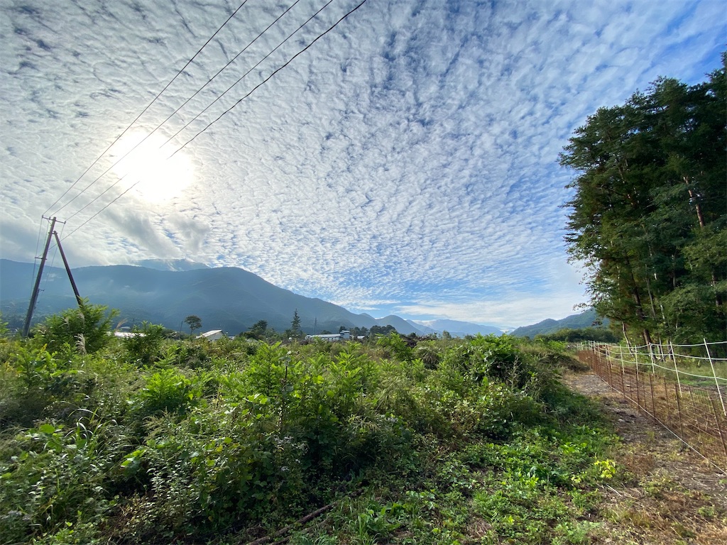 f:id:naoyafs1:20210930073142j:image f:id:naoyafs1:20210930073142j:image