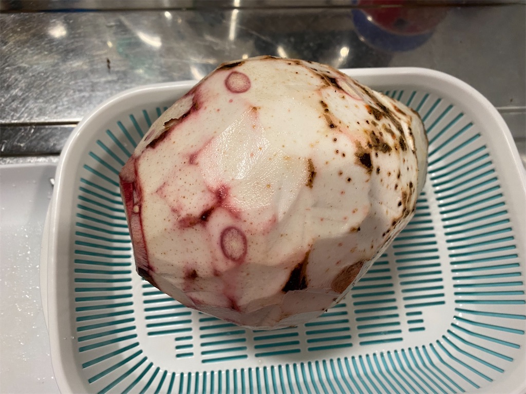 f:id:naoyafs1:20220103154724j:image