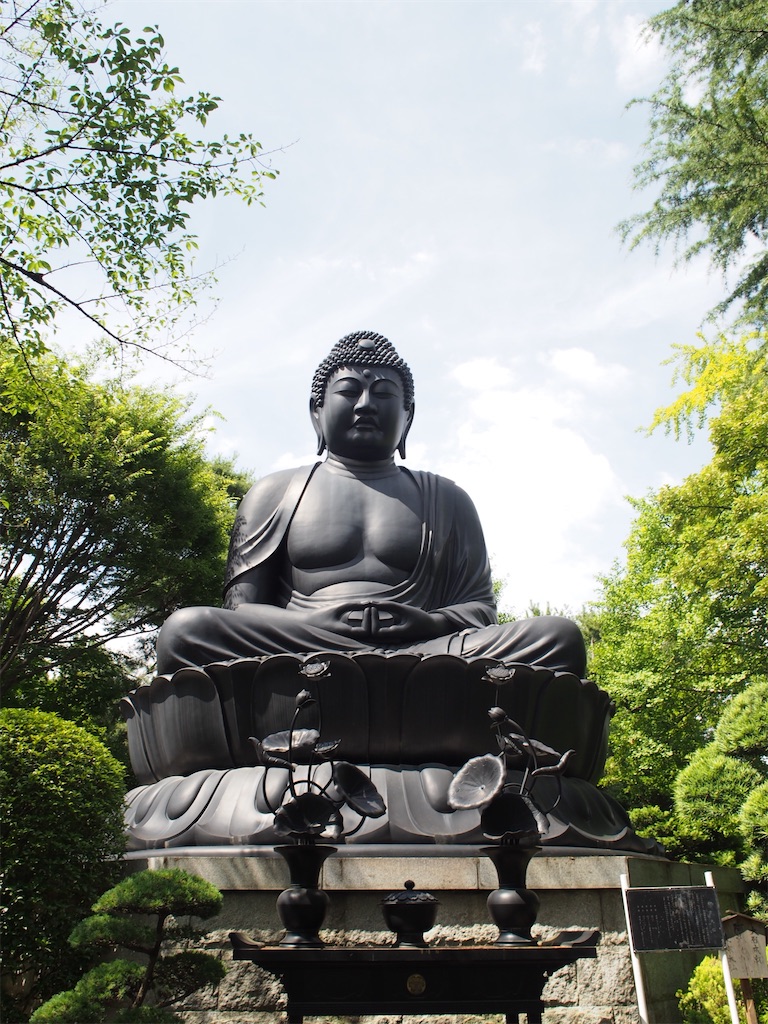 f:id:naoyafs1:20220115104143j:image