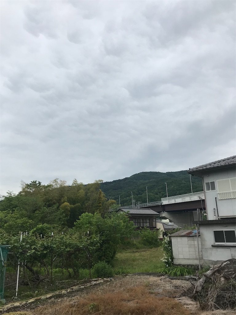 f:id:naoyafs1:20220324124311j:image