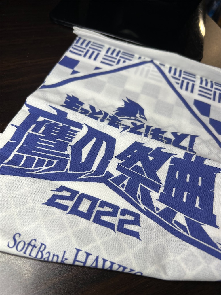 f:id:naoyafs1:20220926153011j:image