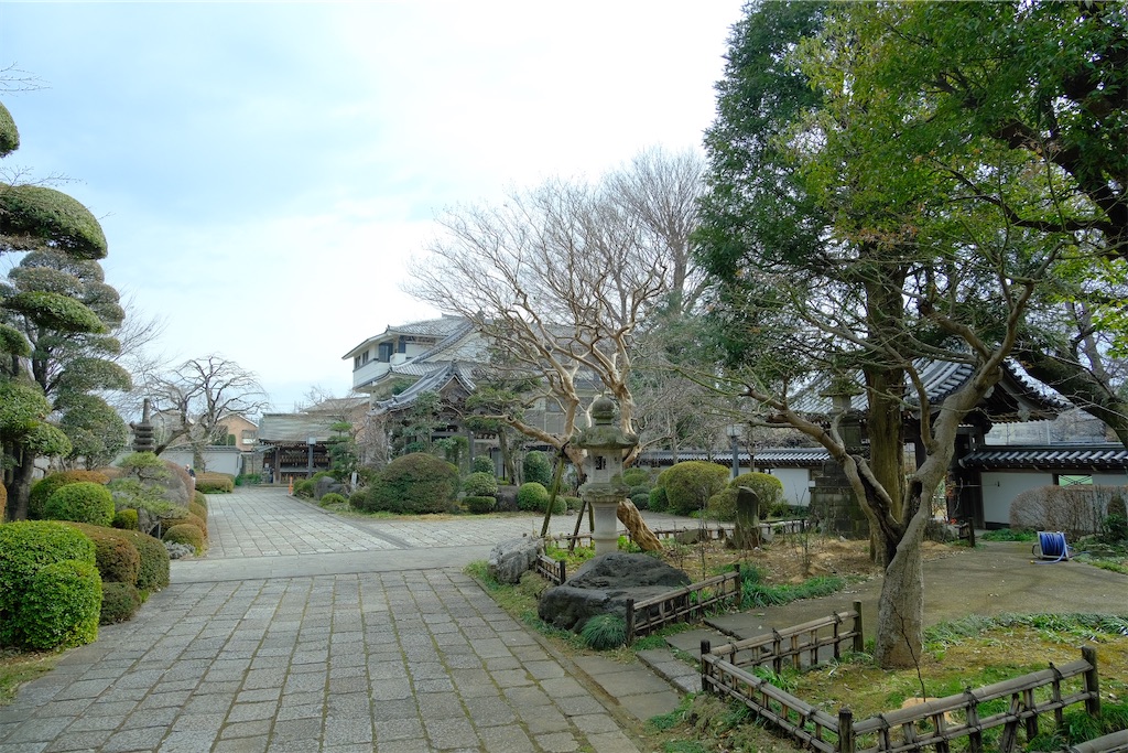 f:id:naoyafs1:20230219142402j:image