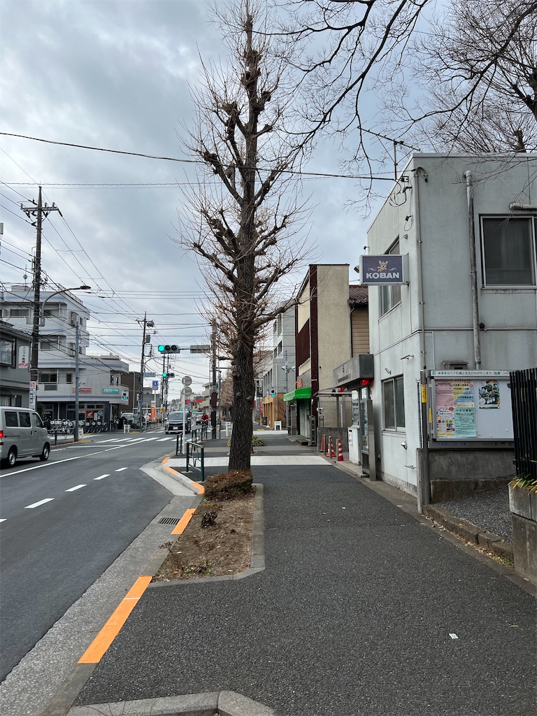 f:id:naoyafs1:20230219142509j:image