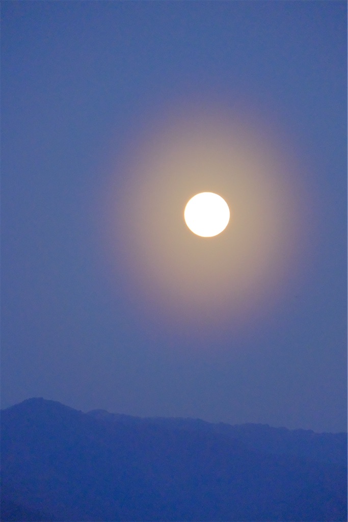 f:id:naoyafs1:20230308063952j:image f:id:naoyafs1:20230308063952j:image
