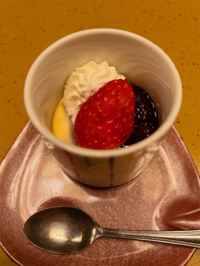 f:id:naoyafs1:20230308064131j:image