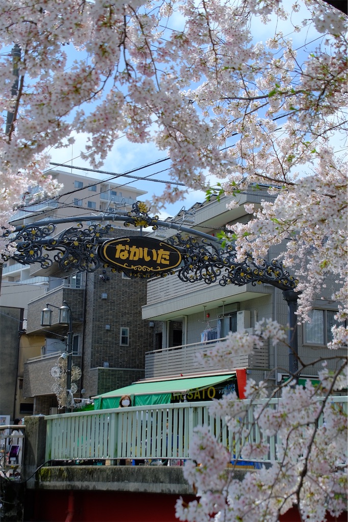 f:id:naoyafs1:20230329174733j:image f:id:naoyafs1:20230329174733j:image
