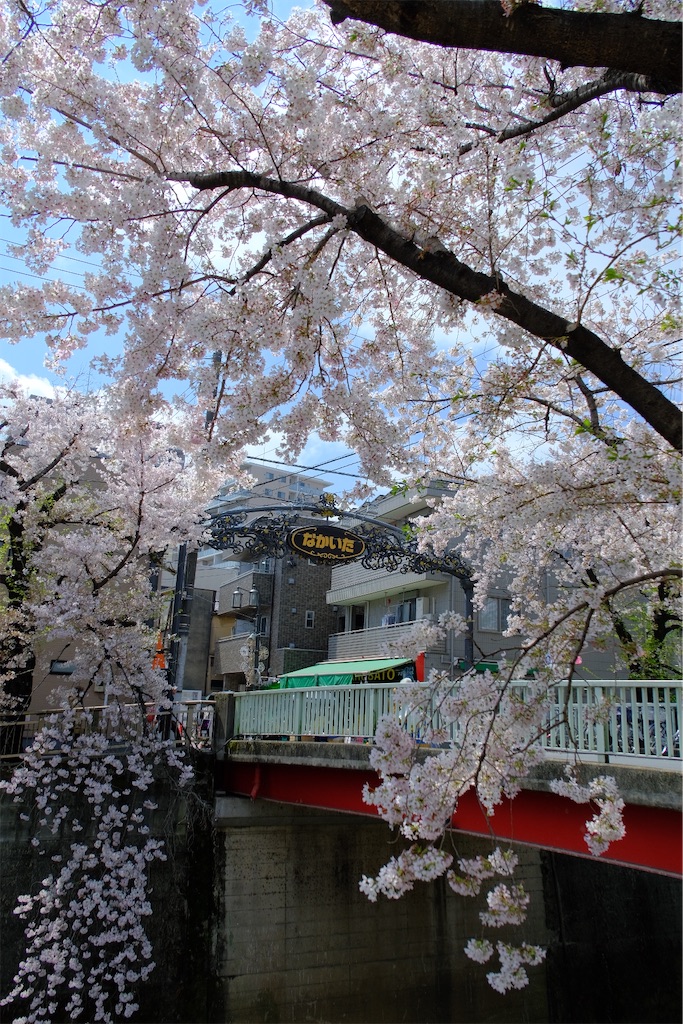 f:id:naoyafs1:20230329174736j:image f:id:naoyafs1:20230329174736j:image