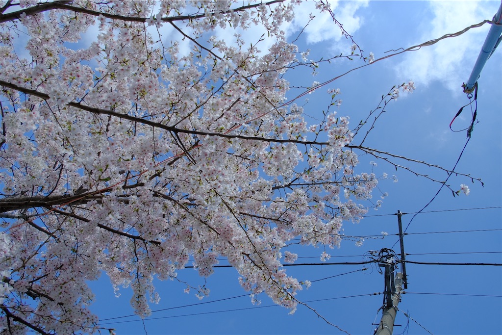 f:id:naoyafs1:20230329174739j:image f:id:naoyafs1:20230329174739j:image