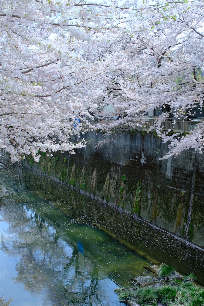 f:id:naoyafs1:20230329174803j:image f:id:naoyafs1:20230329174803j:image