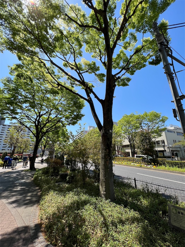 f:id:naoyafs1:20230409150125j:image