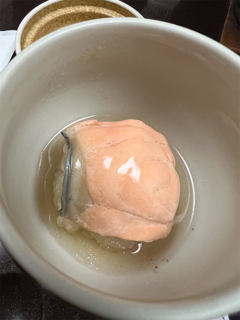 f:id:naoyafs1:20230914152135j:image