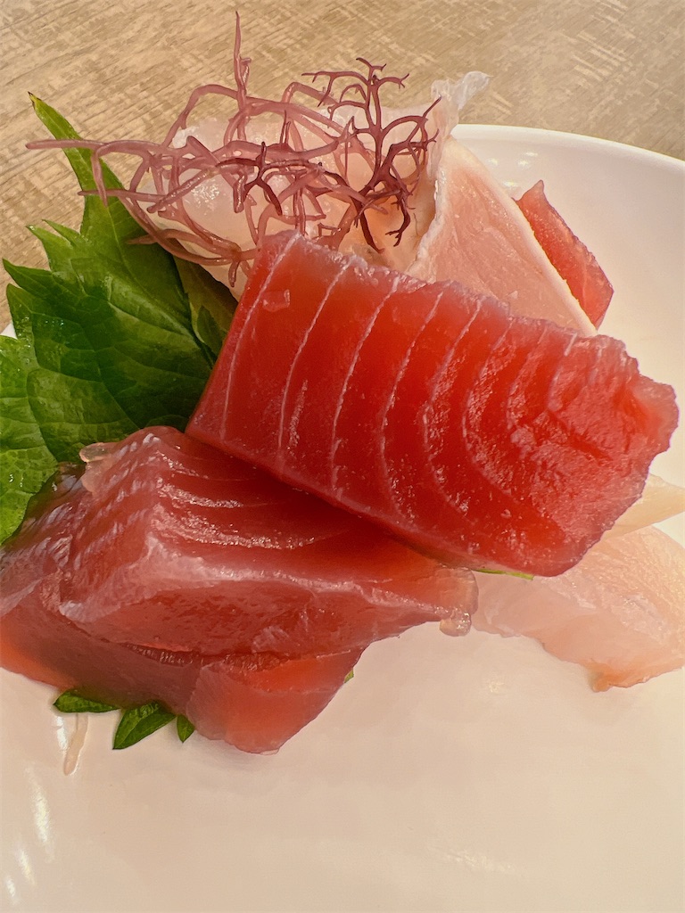 f:id:naoyafs1:20231108201418j:image