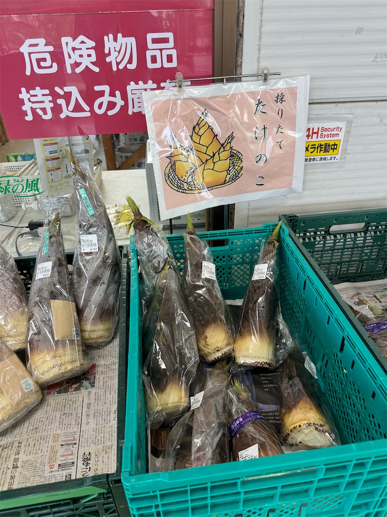 f:id:naoyafs1:20240421211257j:image
