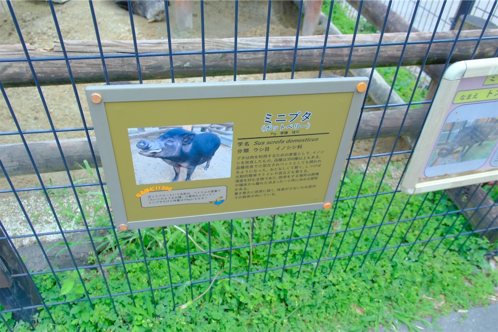 f:id:naoyafs1:20240629225155j:image