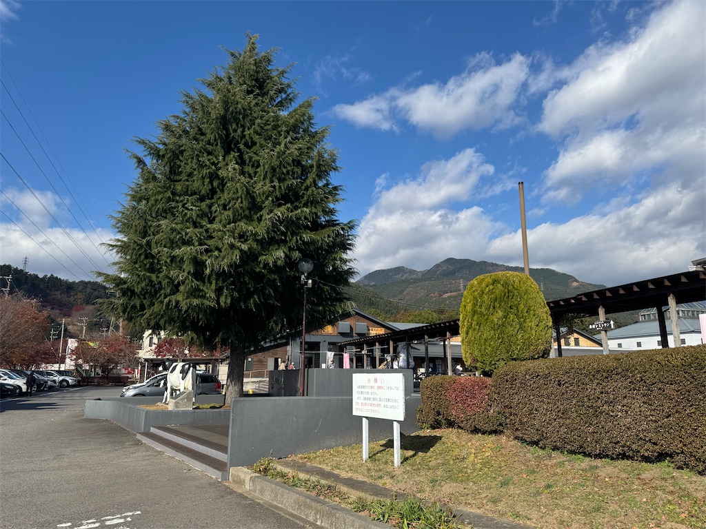 f:id:naoyafs1:20251122165435j:image f:id:naoyafs1:20251122165435j:image