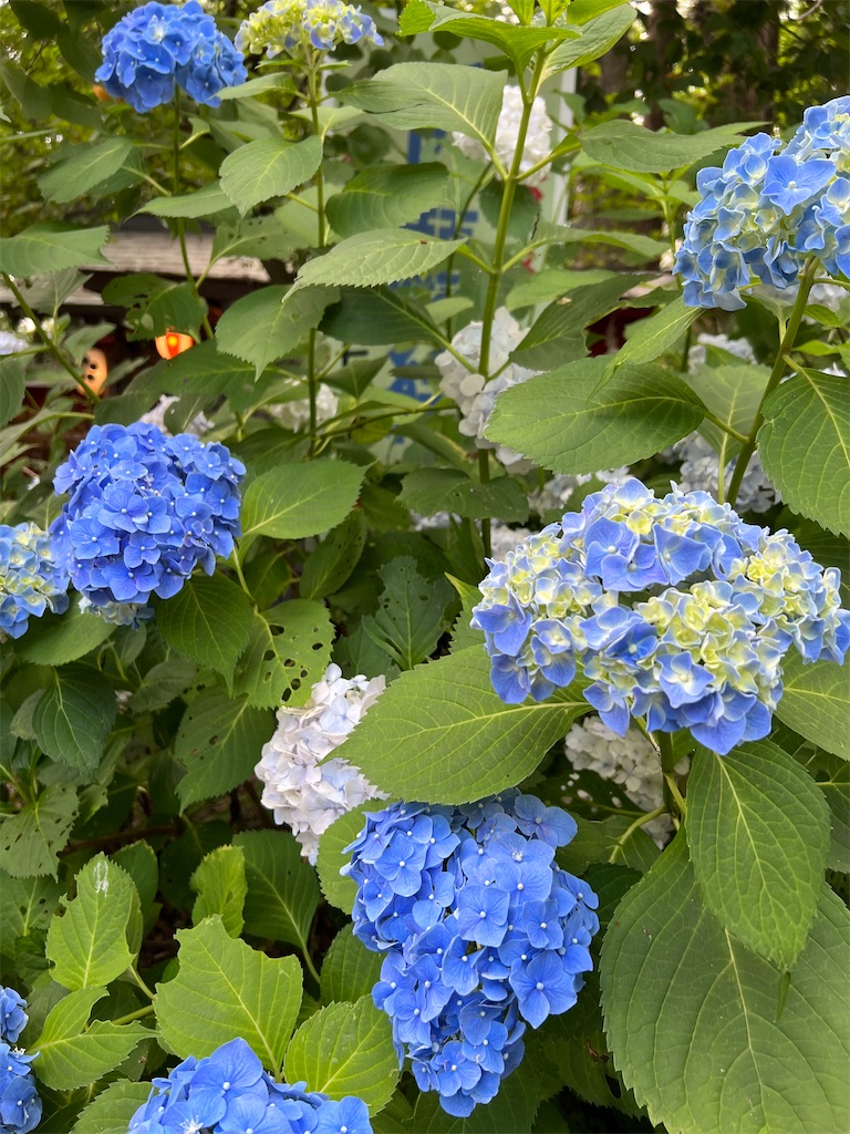 f:id:naoyafs1:20251220214904j:image