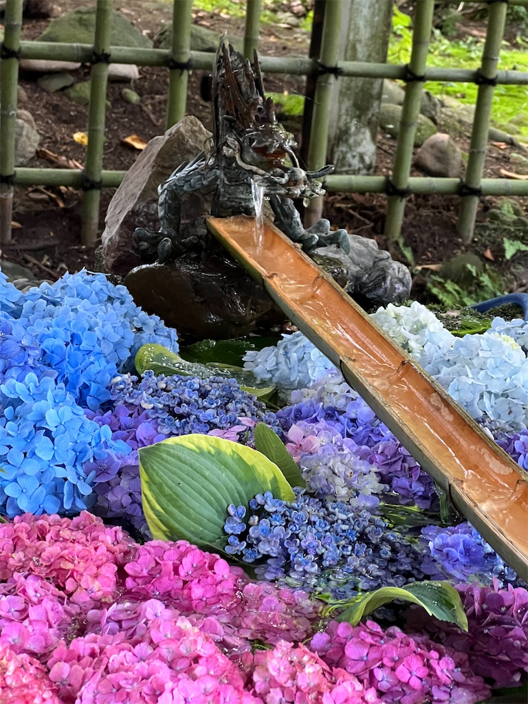 f:id:naoyafs1:20251220214911j:image