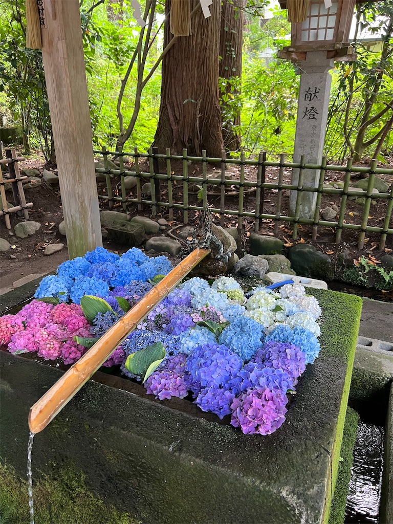 f:id:naoyafs1:20251220214923j:image