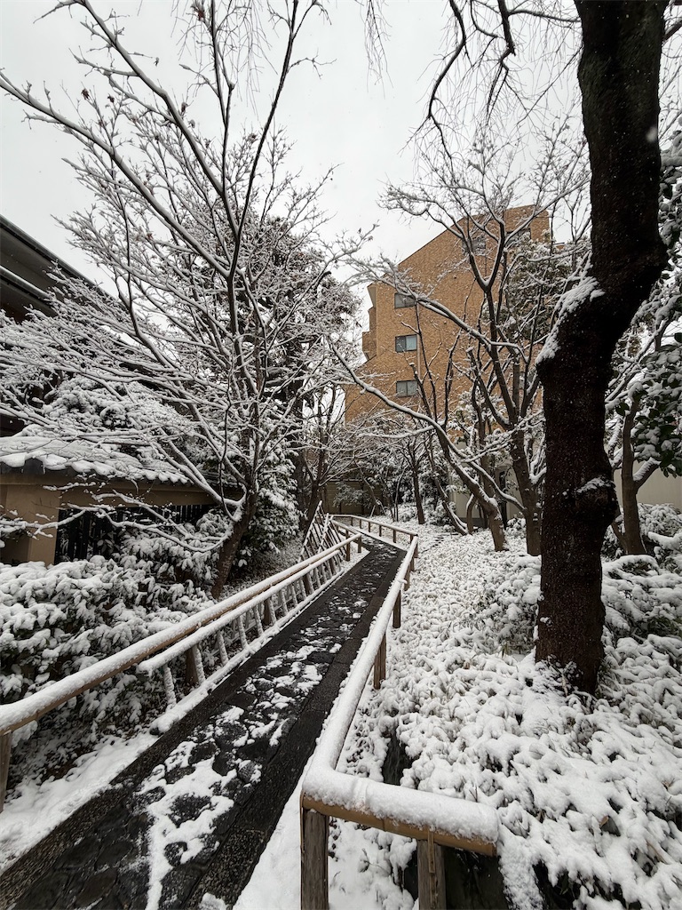 f:id:naoyafs1:20260208215640j:image