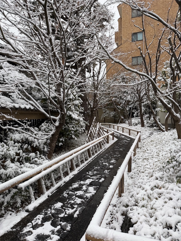 f:id:naoyafs1:20260208215705j:image