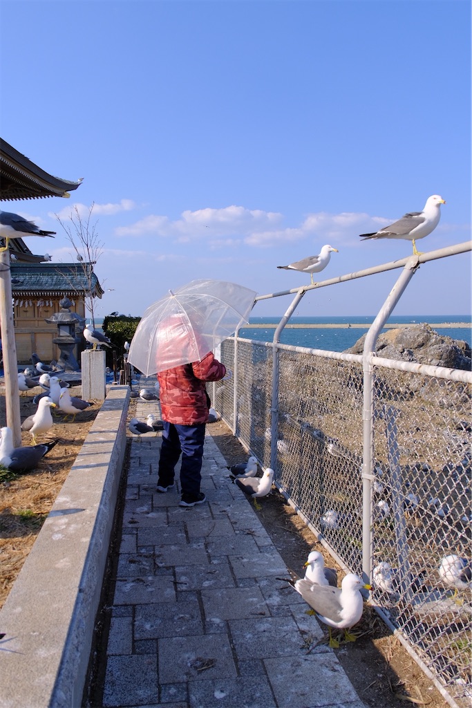 f:id:naoyafs1:20260318214240j:image