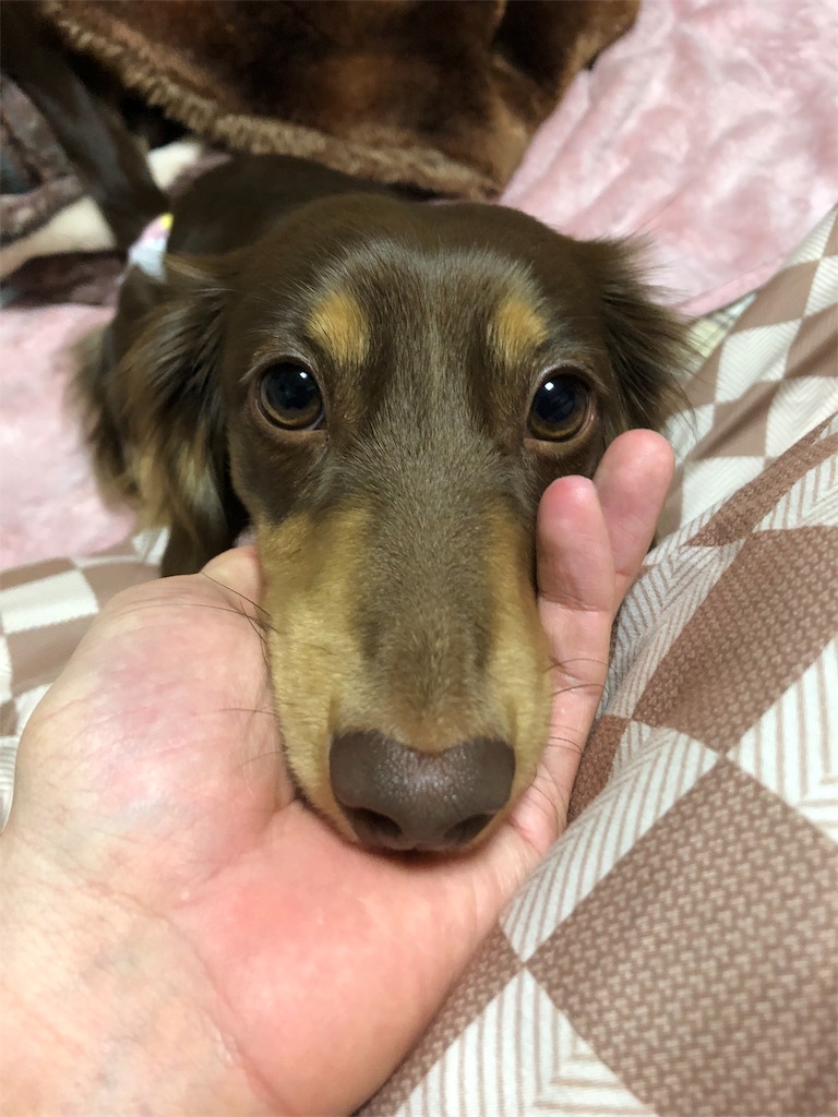 f:id:naoyayoshioka:20190209233912j:image f:id:naoyayoshioka:20190209233912j:image