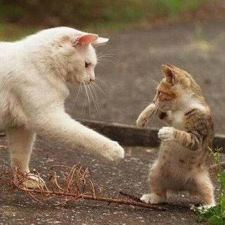 f:id:naoyuki426:20170909175746j:image