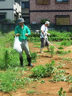 f:id:naozi:20060212051631j:image